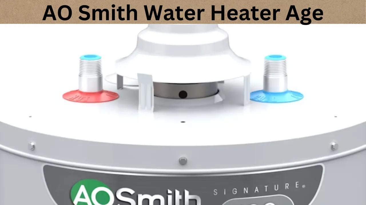 AO Smith Water Heater Age