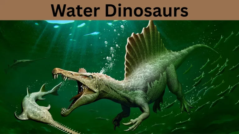 Water Dinosaurs